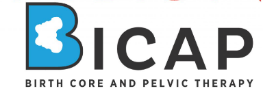 logo bicap